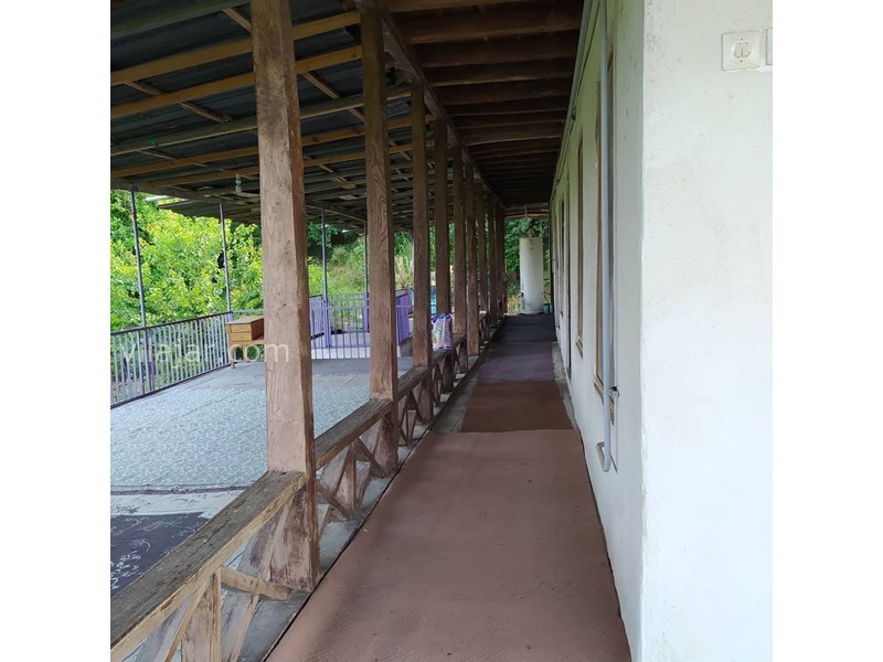 عکس شماره 641962 - اجاره ویلا روستایی در سوادکوه - 