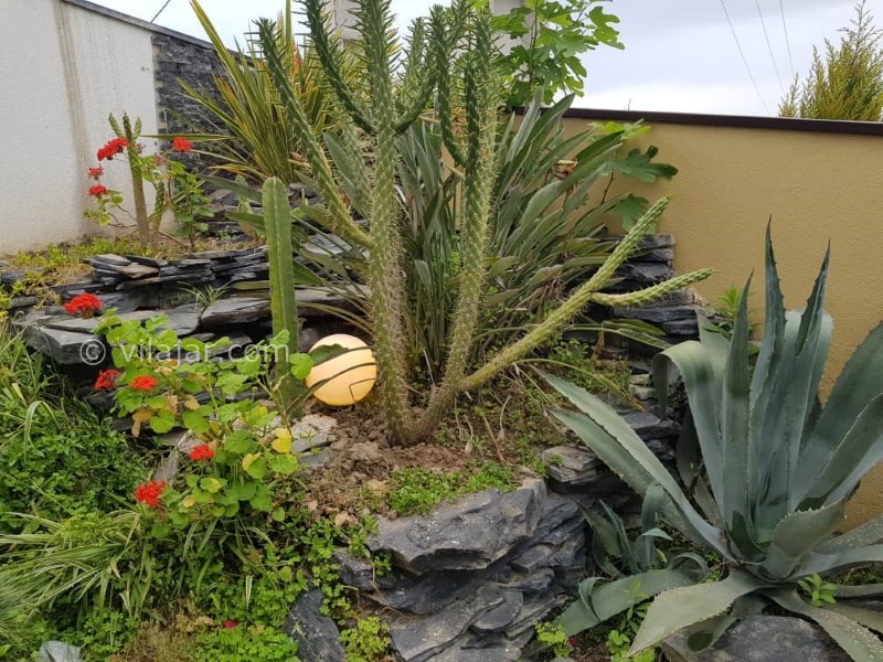 عکس شماره 642053 - اجاره ویلا در سرخرود با جکوزی - 