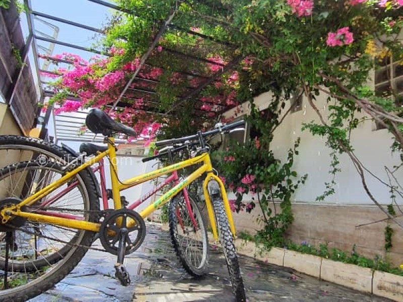 عکس شماره 642068 - اجاره ویلا در سرخرود با جکوزی - 