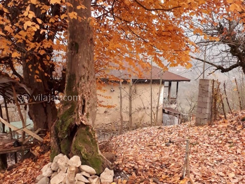 عکس شماره 642761 - اجاره خانه روستایی جنگلی در رودبار - 
