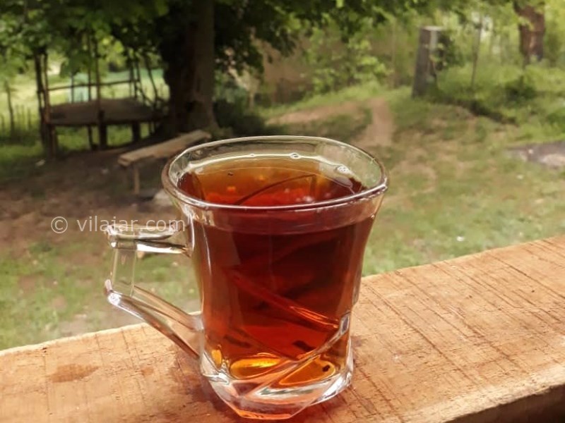 عکس شماره 642762 - اجاره خانه روستایی جنگلی در رودبار - 