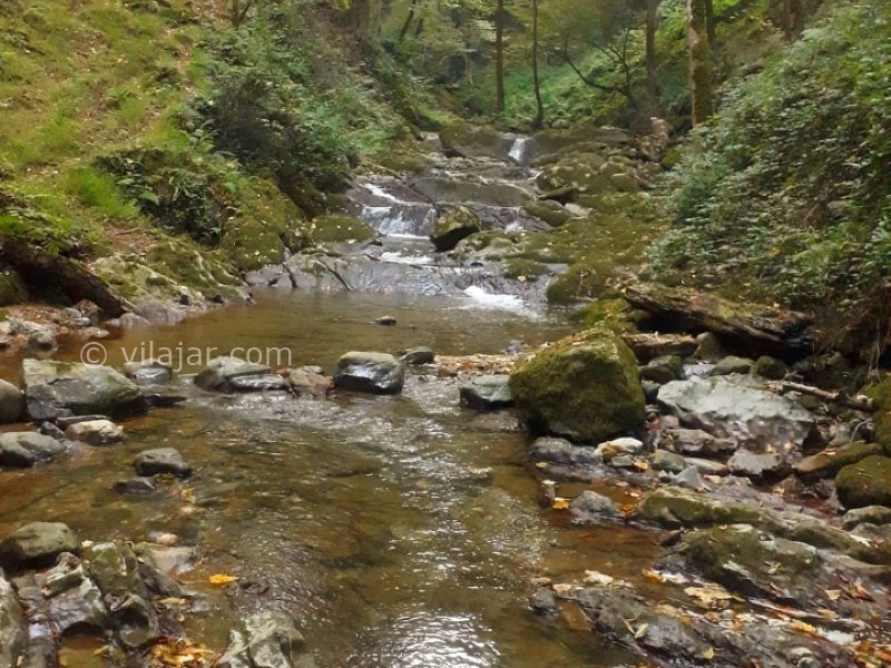 عکس شماره 642765 - اجاره خانه روستایی جنگلی در رودبار - 