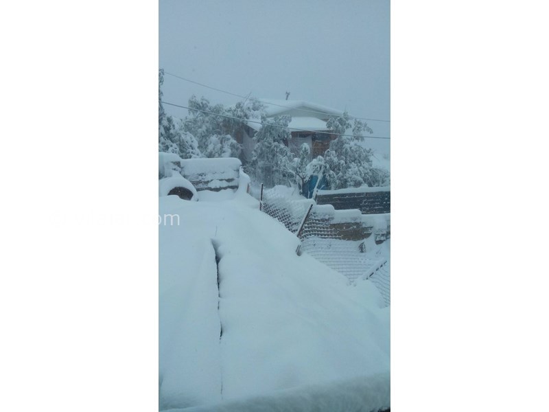 عکس شماره 644613 - اجاره خانه روستایی در فیلبند - 