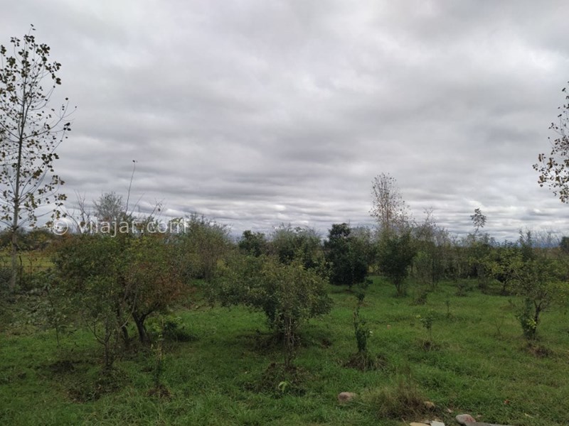 عکس شماره 645898 - اجاره ویلا باغ در ماسال وشمه سرا - 