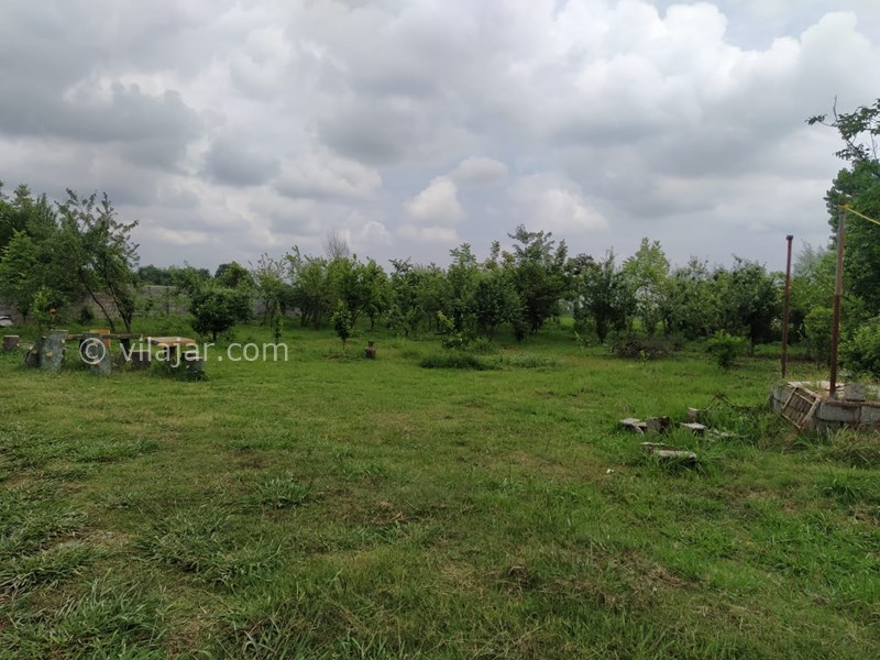 عکس شماره 645918 - اجاره ویلا باغ در ماسال وشمه سرا - 