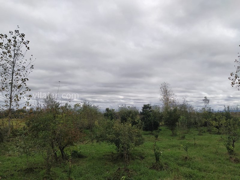 عکس شماره 645932 - اجاره ویلا باغ در ماسال وشمه سرا - 