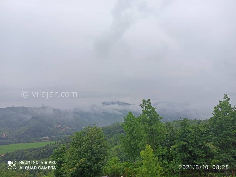 عکس شماره 646712 - اجاره ویلا باغ جنگلی نزدیک لنگرود - چشم انداز جنگل از داخل ویلا