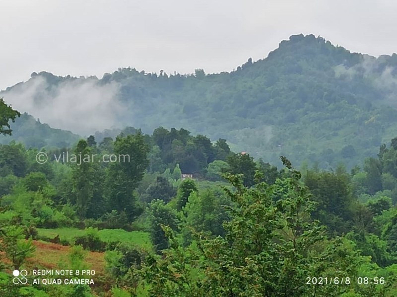 عکس شماره 646725 - اجاره ویلا باغ جنگلی نزدیک لنگرود - 