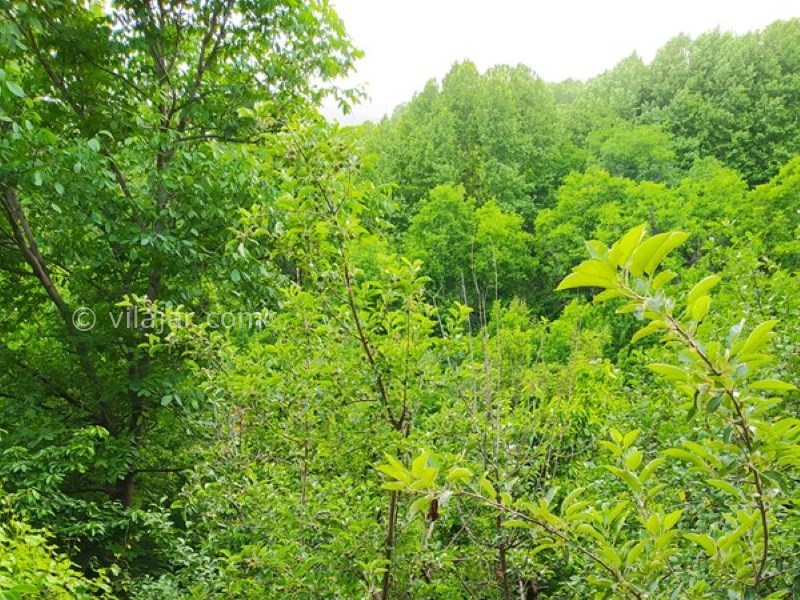 عکس شماره 648926 - اجاره ویلا باغ نزدیک شاندیز مشهد - 