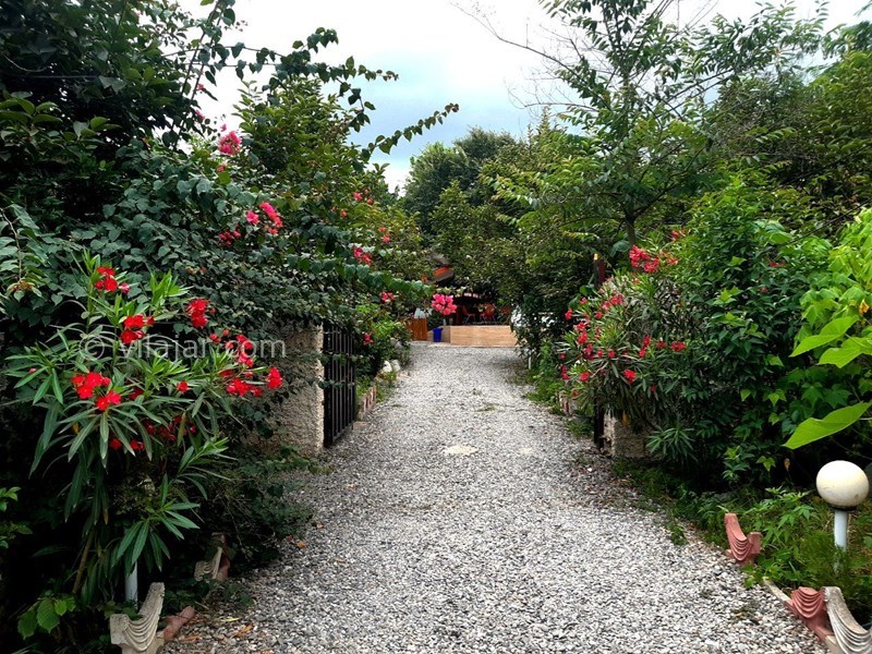 عکس شماره 649262 - اجاره ویلا در ولی آباد تنکابن - 