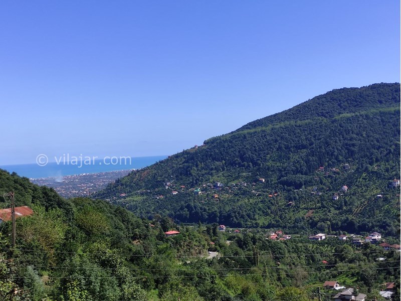 عکس شماره 650066 - اجاره ویلا در جنگل دالخانی رامسر - چشم انداز ویلا