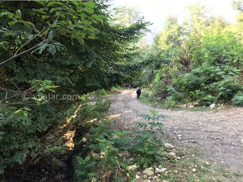 عکس شماره 650166 - اجاره ویلا در ماکلوان فومن - مسیر