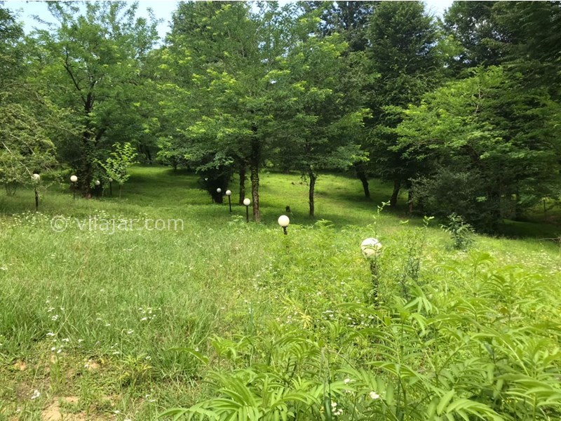 عکس شماره 650170 - اجاره ویلا در ماکلوان فومن - حیاط