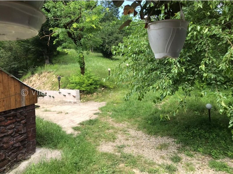 عکس شماره 650176 - اجاره ویلا در ماکلوان فومن - حیاط