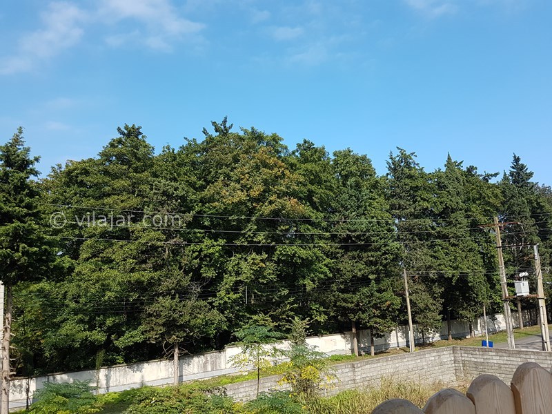 عکس شماره 651564 - ویلا با استخر سرپوشیده رامسر - 