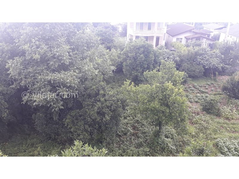 عکس شماره 651602 - اجاره ویلا جنگلی در کلارآباد - 