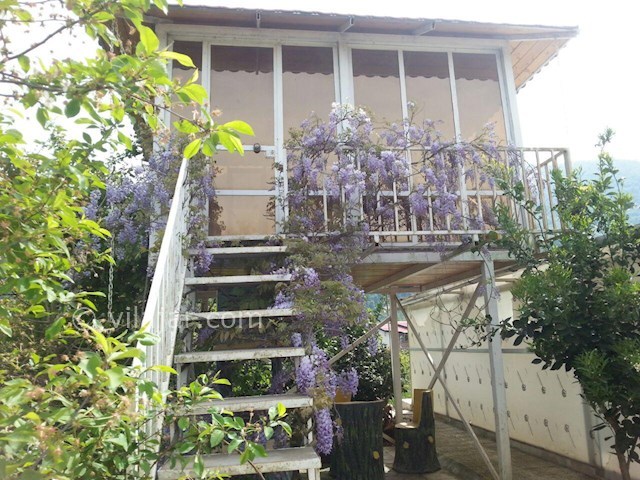 عکس شماره 65177 - اجاره ویلا جنگلی در هچیرود - 