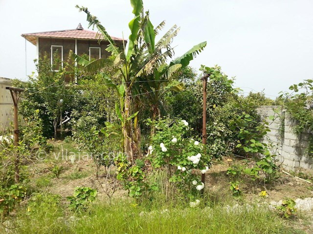 عکس شماره 65179 - اجاره ویلا جنگلی در هچیرود - 