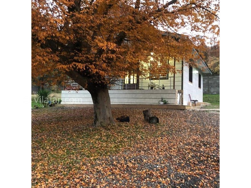 عکس شماره 651854 - اجاره ویلا باغ در ماسال - 