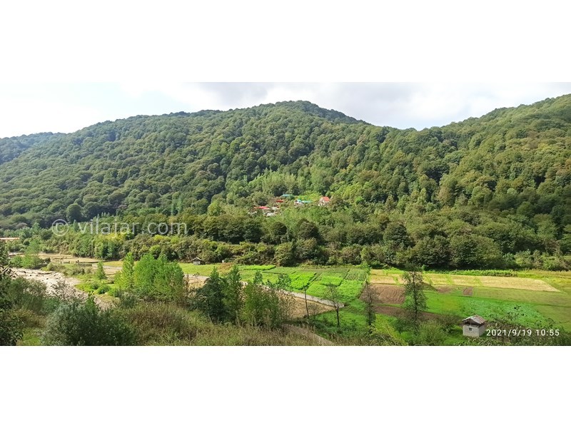 عکس شماره 652792 - اجاره ویلا جنگلی اطراف سوادکوه - 