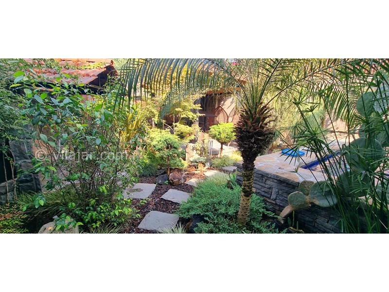 عکس شماره 653894 - اجاره ویلا چوبی با استخر روباز رامسر -