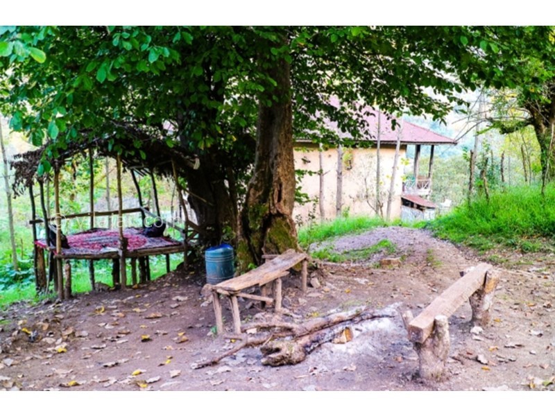 عکس شماره 654021 - اجاره خانه روستایی جنگلی در رودبار - 