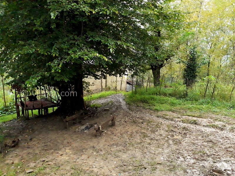 عکس شماره 654027 - اجاره خانه روستایی جنگلی در رودبار - 
