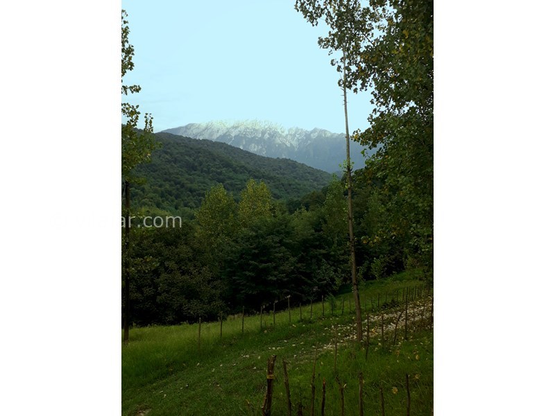 عکس شماره 654036 - اجاره خانه روستایی جنگلی در رودبار - 