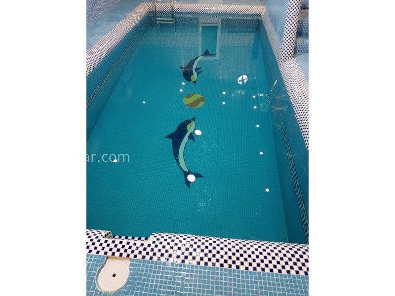 عکس شماره 655067 - اجاره ویلا با استخر نزدیک محمودآباد - 