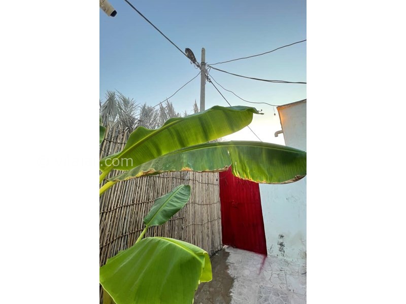 عکس شماره 655529 - اقامتگاه بومگردی جاذبه هرمز - 