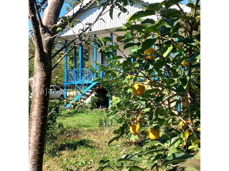 عکس شماره 655718 - اجاره اقامتگاه سنتی نزدیک رودبار -