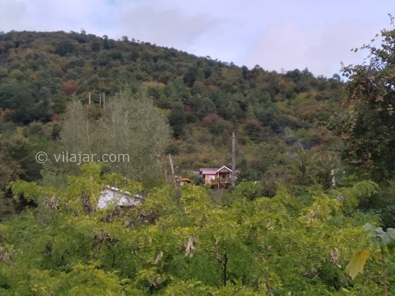 عکس شماره 656229 - کلبه چوبی جنگلی شاندرمن ماسال - 