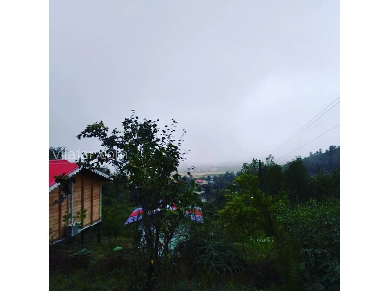 عکس شماره 656240 - کلبه چوبی جنگلی شاندرمن ماسال - 