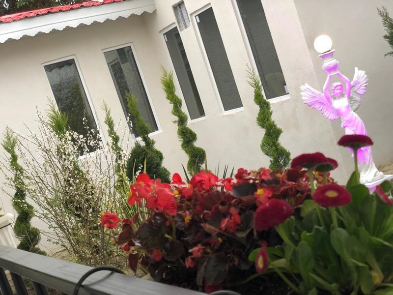 عکس شماره 656789 - اجاره ویلا با استخر و جکوزی - 