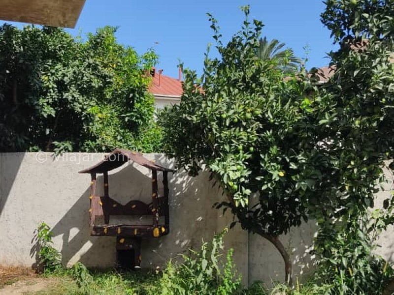 عکس شماره 657278 - ویلا با استخر و جکوزی رامسر جواهرده - 