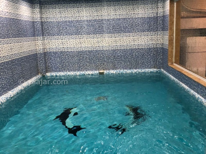 عکس شماره 657742 - ویلا با استخر سرپوشیده محمود اباد - 