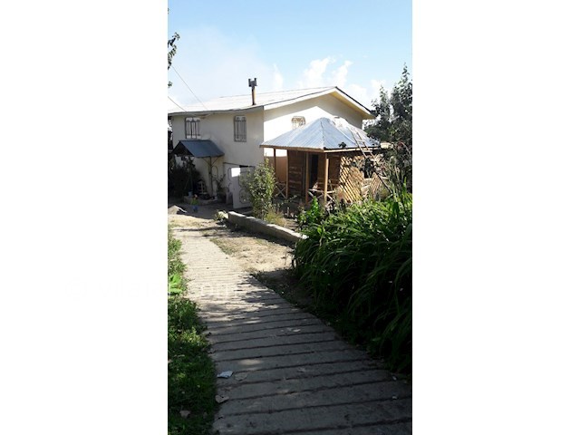 عکس شماره 65887 - اقامت در جنگل دالیخانی رامسر - 