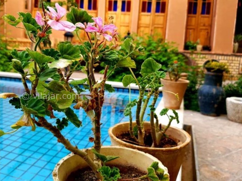 عکس شماره 660124 - اقامتگاه بوم گردی خانه نخجیر - 