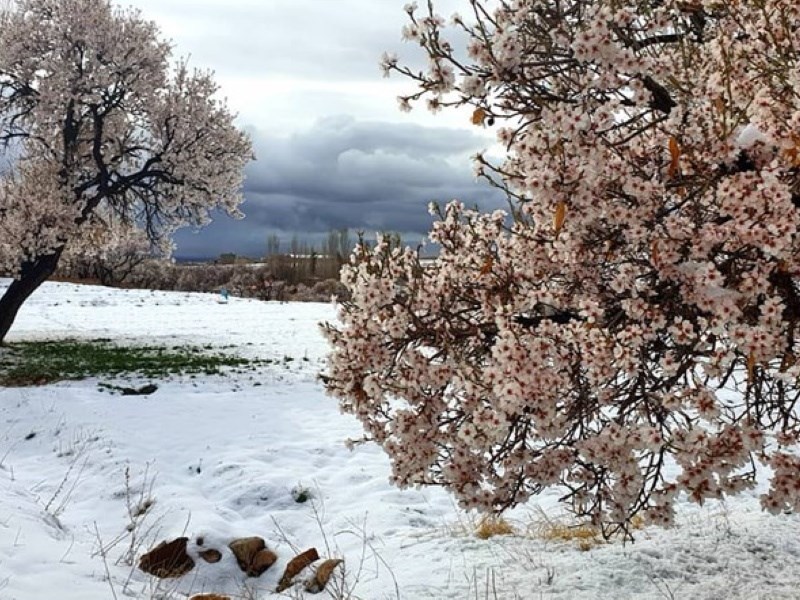 عکس شماره 660130 - اقامتگاه بوم گردی خانه نخجیر - 