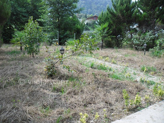 عکس شماره 66037 - اجاره ویلا جنگلی در کلارآباد - 