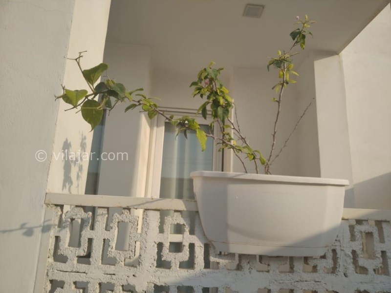 عکس شماره 660405 - اقامتگاه بادگیر سفید جزیره هنگام - 