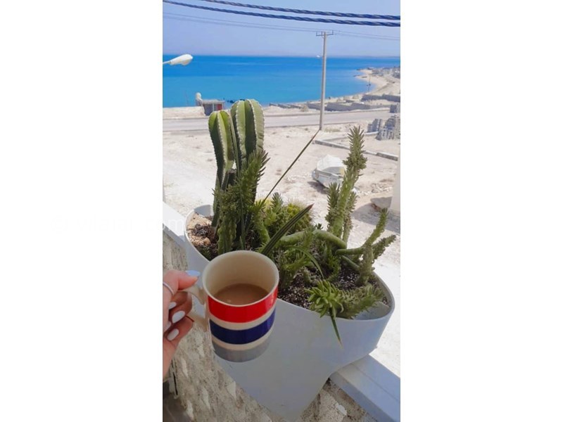 عکس شماره 660409 - اقامتگاه بادگیر سفید جزیره هنگام - 