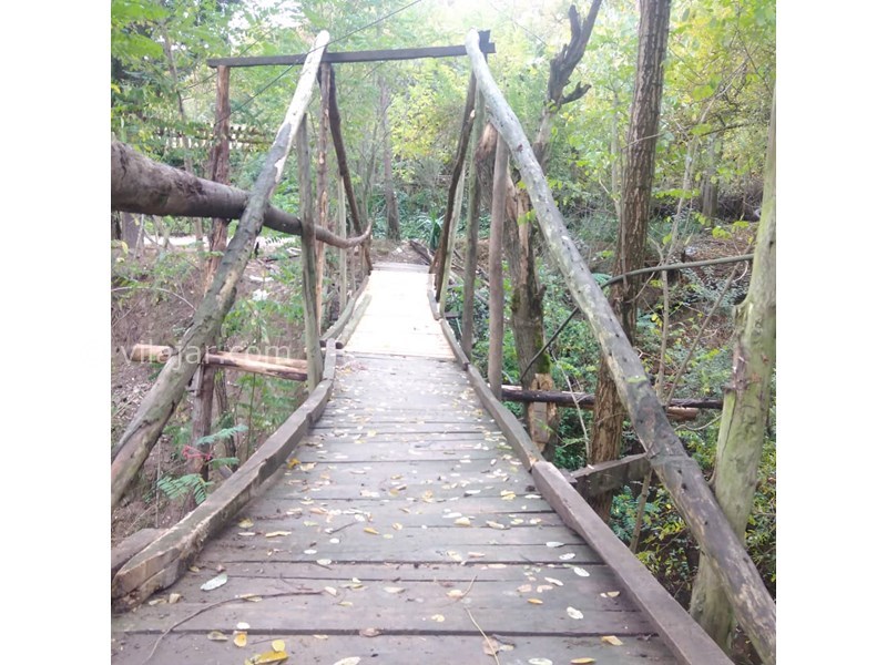 عکس شماره 660663 - اجاره ویلا باغ جنگلی در بهشهر - 