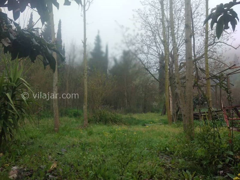 عکس شماره 660666 - اجاره ویلا باغ جنگلی در بهشهر - 