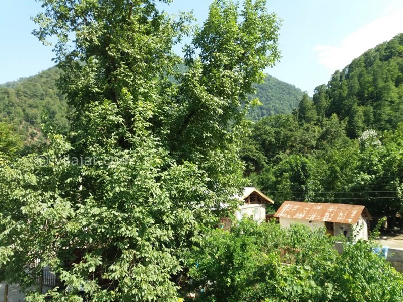 عکس شماره 663060 - اجاره کلبه چوبی در ماسال -