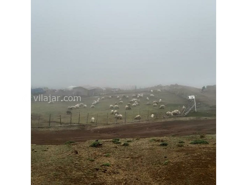 عکس شماره 663642 - اقامتگاه بوم گردی راستین - 