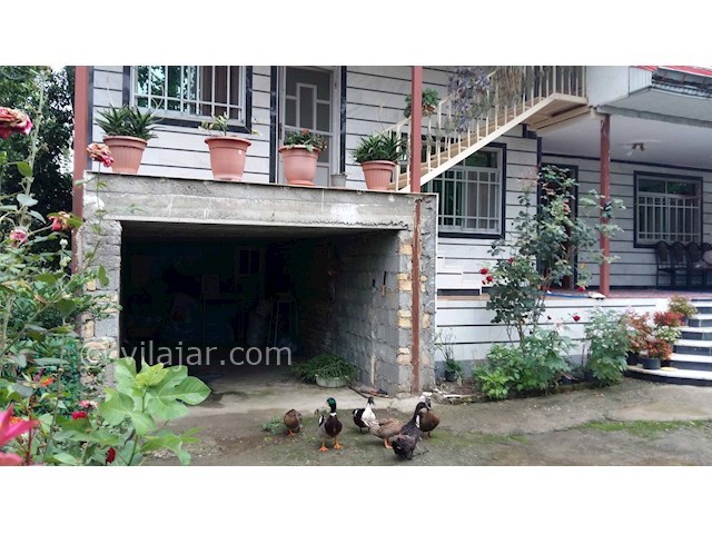 عکس شماره 66443 - اجاره ویلا در ماسال - 