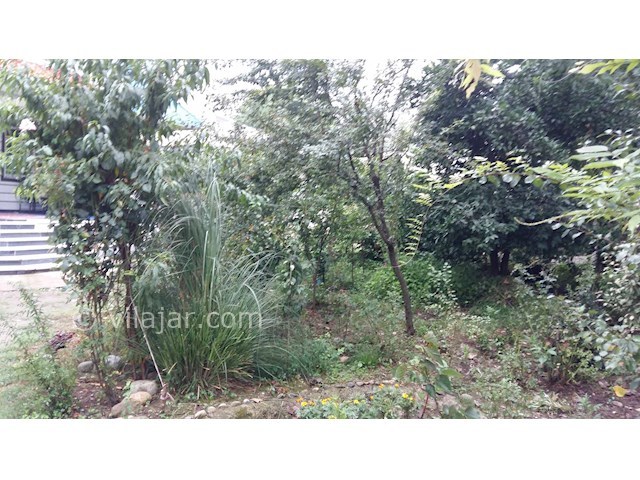 عکس شماره 66453 - اجاره ویلا در ماسال - 