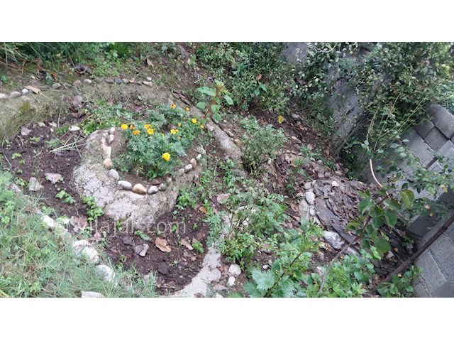 عکس شماره 66457 - اجاره ویلا در ماسال - 