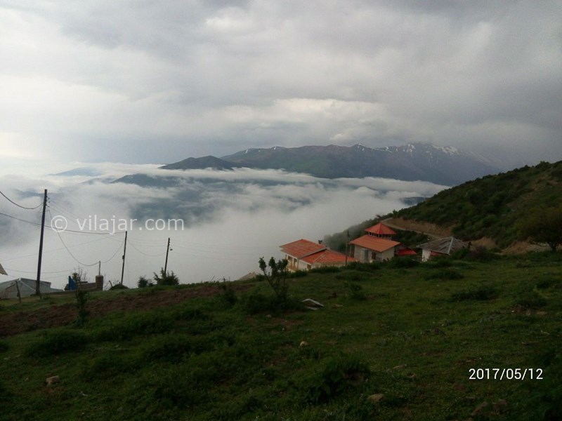 عکس شماره 664593 - اجاره اقامتگاه رامسر جنگل دالخانی - 